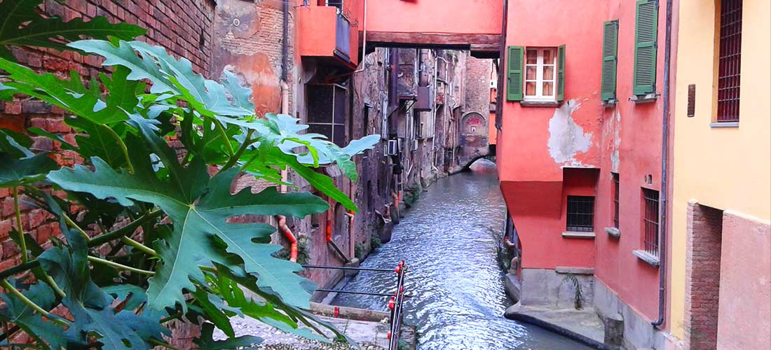 canale delle moline bologna